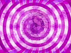 Тизер инструкций для сисси — предупреждение о призраке!