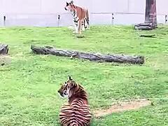 Mexico Trip Recap More Life