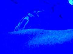 Exploring Blacklight Fetish With Feet