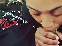 My Best Friend's Curious Taste Test