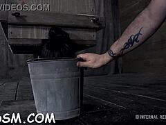 Rough Spanking And Blowjob Stories