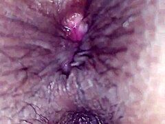 Гозо в отворения дупе на новата мургава мадама и курва в анален секс