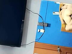 padrastro, hit me harder by the window, let’s ride wild!