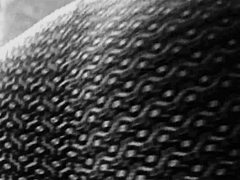 Gretala's Foot, Breast, And Ass Fetish