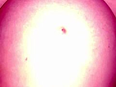 dominican bbw sucks cock and gets pounded doggy by chubby guy