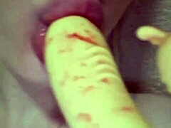 Elzakom's Pretty Lingerie and Toy Play