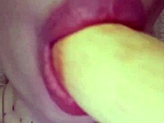 Elzakom's Pretty Lingerie and Toy Play