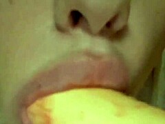 Elzakom's Pretty Lingerie and Toy Play