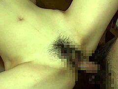 Oh gosh, I mean, Haley Reed is ridin' the director's dick durin' that interview with deepthroat and cumshot...