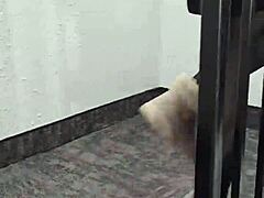 a young brunette poetess reads poetry in a sexy dress