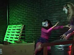 Alley cats engage in passionate foursome anal