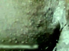 Küçük hadım edilmiş sarkık sikli trans derlemesi, anal aşağılama ve kıç tıpaçla