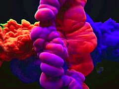 Brunette amateur takes monster black cock in her big ass for creampie. Natural tits bouncing in interracial fucking.