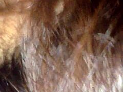 I, uh, gave creampie to my sister-in-law, part 2, ya know!