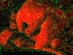 Real Homemade Fucking!