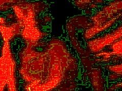 Real Homemade Fucking!