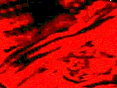 Real Homemade Fucking!