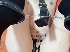 My beautiful Latina girlfriend loves sucking my balls 😍