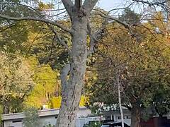 The Free SFW Version Of My First Ever Pornlog