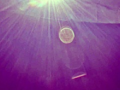 oh gosh, i'm this married woman at 38, slender asian figure, sneaking early morning car sex on holiday with my mature japanese bride vibe...