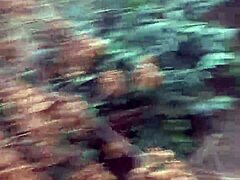 adventire time public woods blowjob swallow