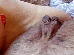 Gretala's homemade curvy european dance