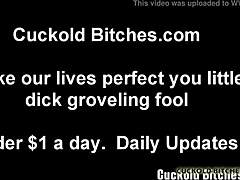 Old Babe in Femdom BDSM Makes Husband Cuckold in USA