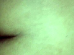 brazilian shemale client exchange