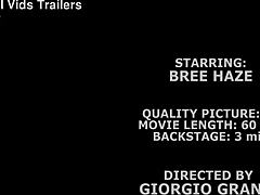 Bree Haze Begs For Deep Double Anal In Gangbang