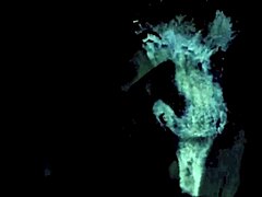 Vintage Glimpse Of 19th Century Diaries