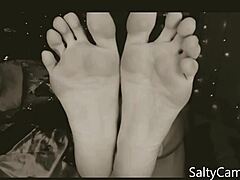 Lick My Toes, Lover, Asl Please