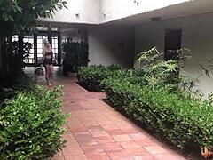 Petite blonde nova cane twat licked and fucked by rome major