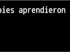 scar of summer ruta vagabundo espa�ol