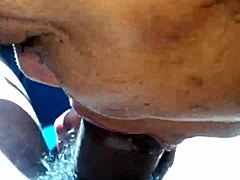 Get That Blowjob In The Car Now!