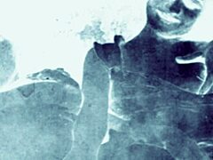 These vintage drawings are antique and have a retro feel to them.