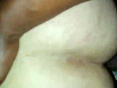 Mrhollaout Pounds Her Ass 24/7/365!