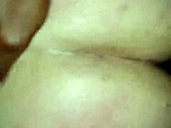 Mrhollaout Pounds Her Ass 24/7/365!