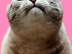 Roxy Fox Delivers Intense Cum Eating Tutorial!