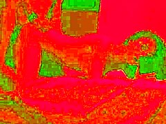 Why did the birthday dinner turn into passionate sex?