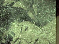 Dark Lantern Presents Sins Of Step Mothers! Vintage Erotic Confessions Of Victorian Gentleman.