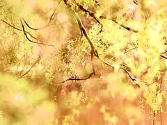 Mishel Karen Leo Embers is lucky as fuck getting ass licked and squirting in orgy party 😈