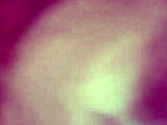 Sucking Shemale Cock