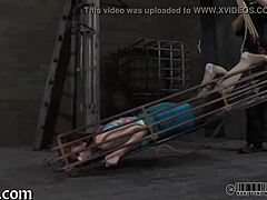 Ferocious Whipping For Angel