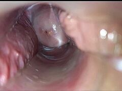 Close-up vaginal orgasm