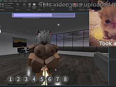 psc v3 0 condo showcase features dm sillyhilariousactivities for those interested in buying. bent over blowjob and cowgirl riding in usa silly style.