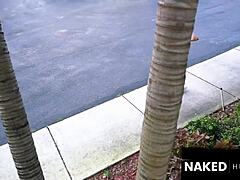 I'm a European fashion model here in America for work and big dick