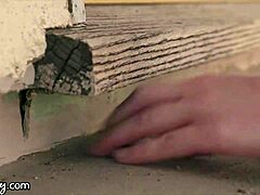 I love how Cadence Lux and I lick shaved pussies in hardcore lesbian action with squirting orgasms and swallowing everything during face sitting.