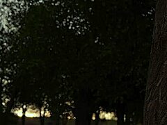 Complete Gameplay Experience in Shadows Adventure Part 3