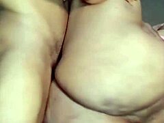 Nigarchrist Update 1535 Petal From June 29 2025