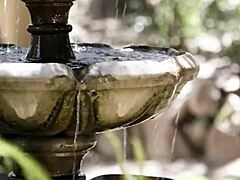 his 100th foster sees petite kyler quinn getting punished by rion king in taboo blowjob